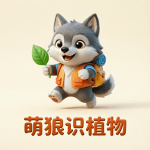 萌狼识植物